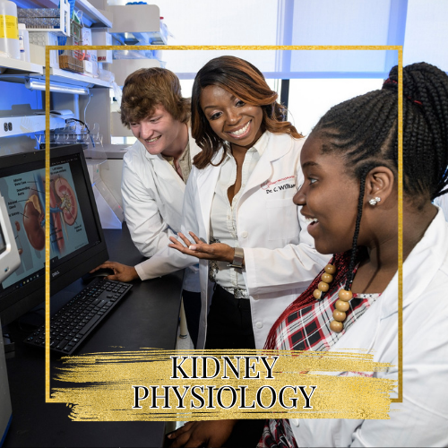 Kidney Pathophysiology Research Group