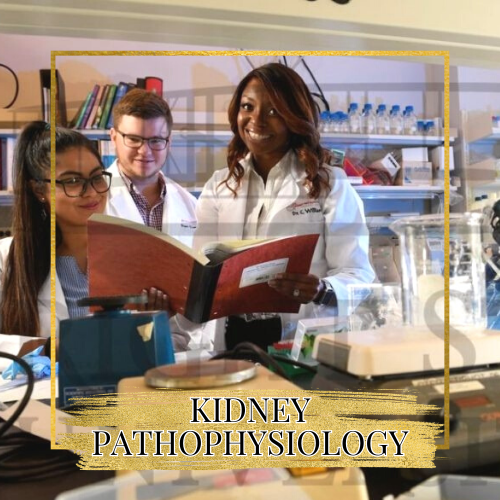 Kidney Pathophysiology Research Group